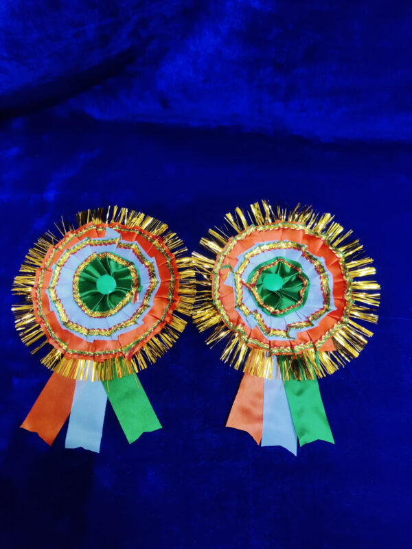 Tiranga kapda batch , ricolour India Flag Cloth Badge/Tricolour Badge/Brooch Badge for Independence Day/Republic Day